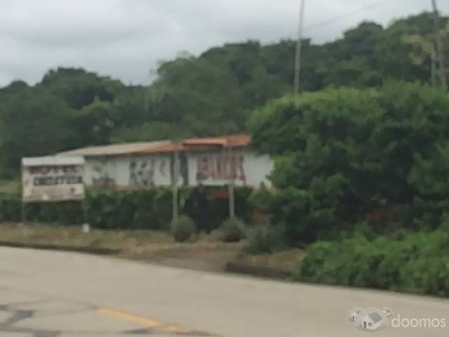 VENDO LINDO LOTE DE TERRENO A 5 MINUTOS DE PEDERNALES